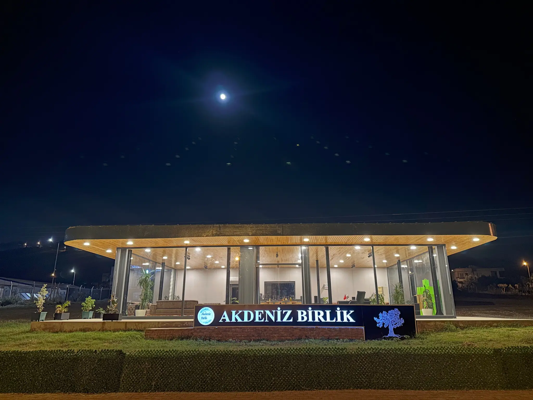 Natürel Sızma Zeytinyağı